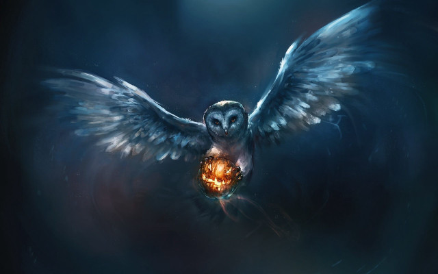 Owl pumpkin beak wings spread free wallpaper - medium preview image