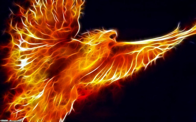 Bird fire wings flying air free wallpaper - medium preview image