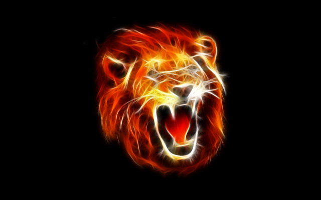 Lion head flames dark background free wallpaper - medium preview image