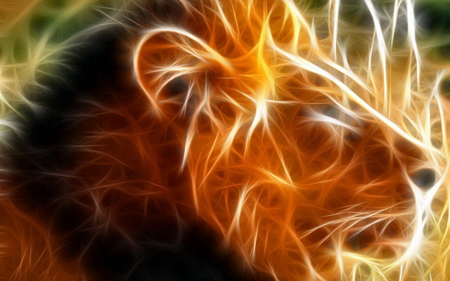 Lion digital painting blurry orange free wallpaper - medium preview image
