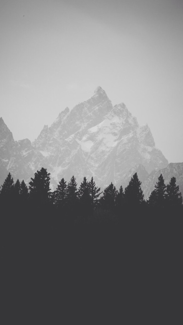 Mountain range forest bird black free wallpaper - medium preview image