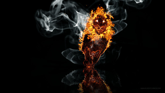 Fire skull smoke reflection back free wallpaper - medium preview image