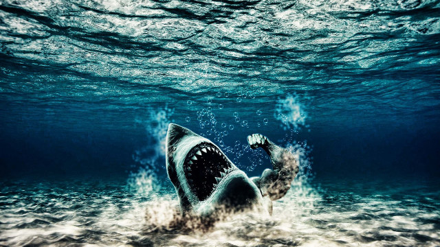 Shark swimming ocean mouth open free wallpaper - medium preview image