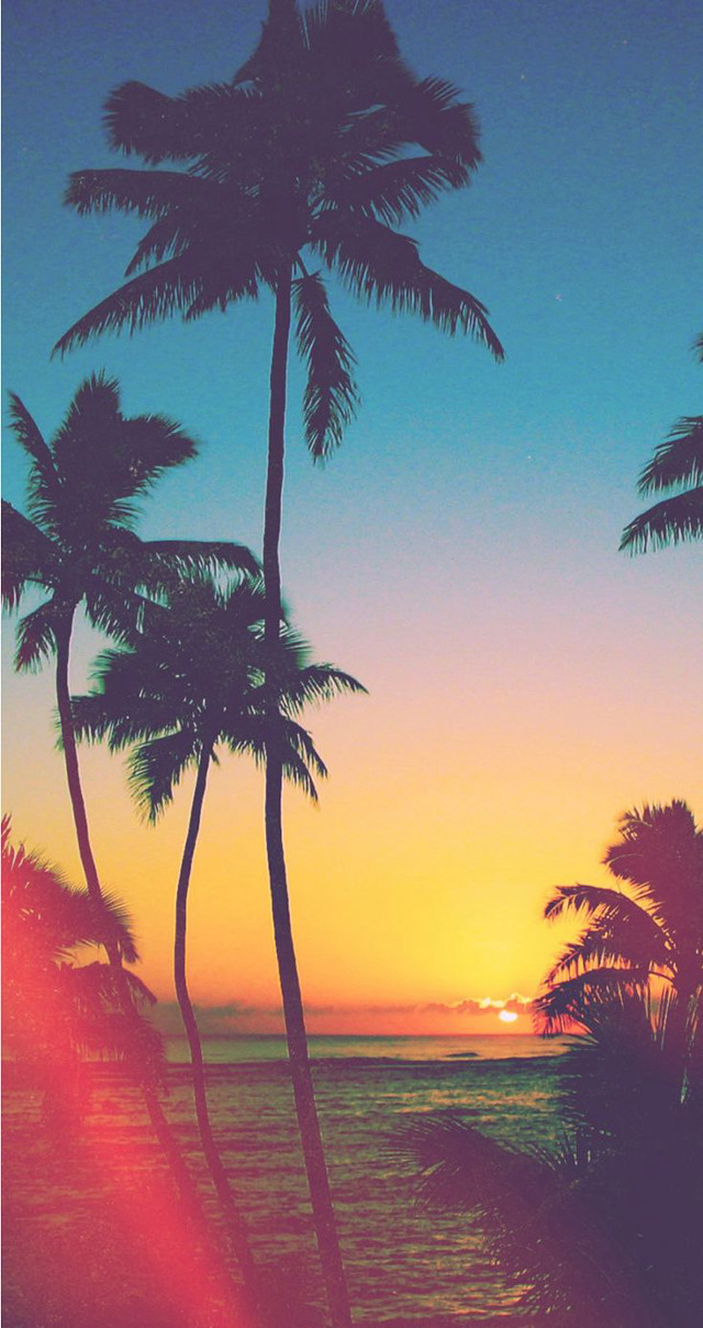 Sunset palm trees ocean orange free wallpaper - medium preview image