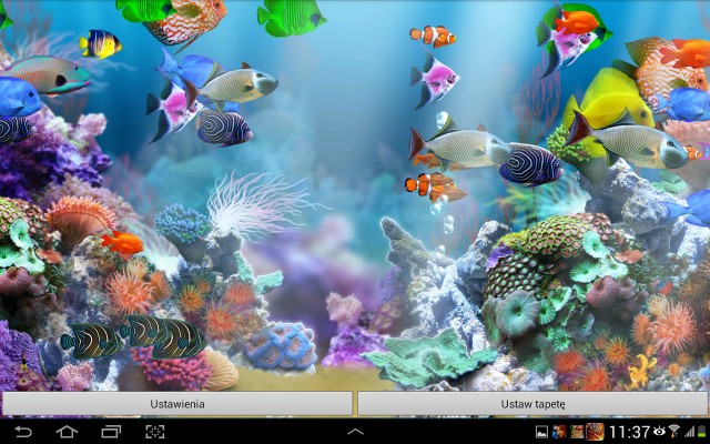 Computer screen fish corals net free wallpaper - medium preview image