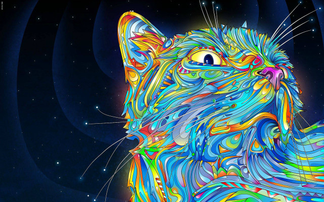 Colorful cat blue background stars #4 free wallpaper - medium preview image