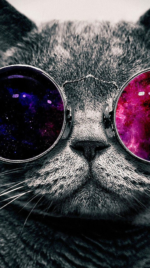 Cat glasses space theme face free wallpaper - medium preview image