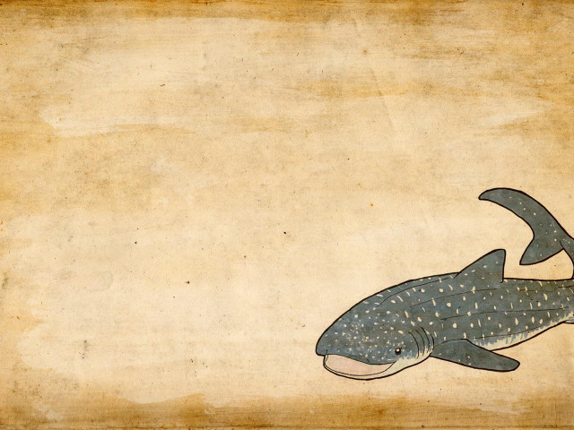 Whale long tail large mouth free wallpaper - medium preview image