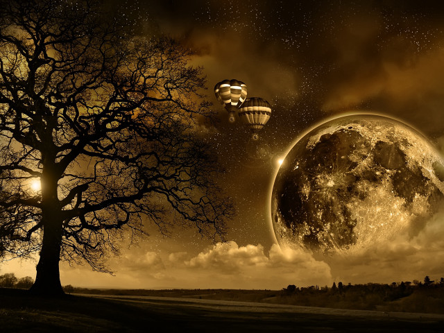 Tree hot air balloon full free wallpaper - medium preview image