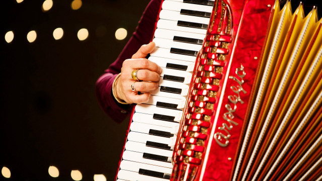 Person holding red accordion black free wallpaper - medium preview image