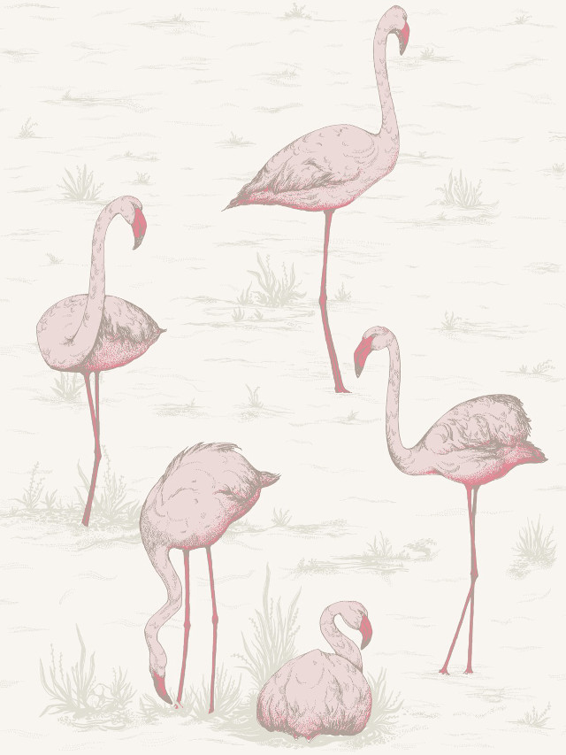 Flamingos beach water grass sandy free wallpaper - medium preview image