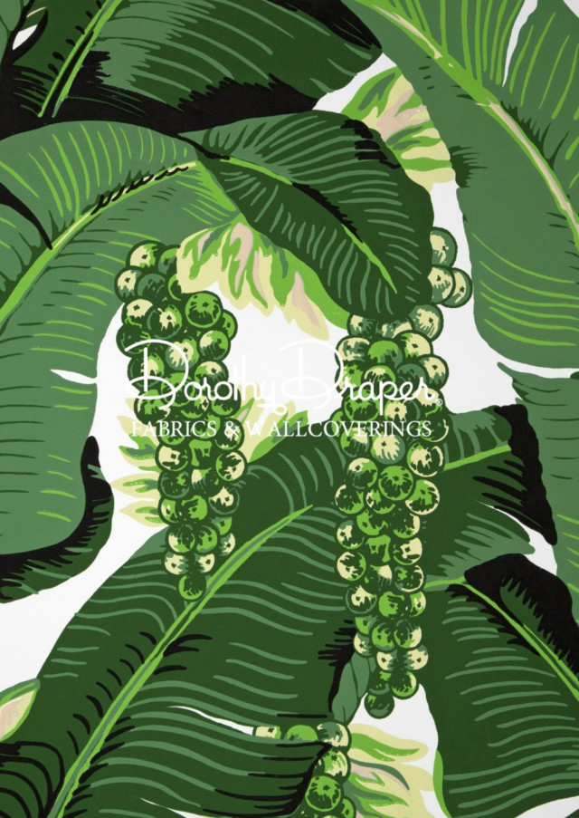 Green plant leaves white background free wallpaper - medium preview image