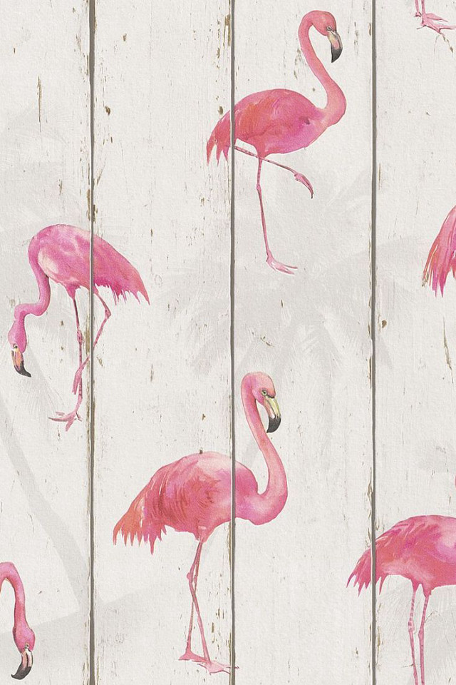 Pink flamingos wooden fence group free wallpaper - medium preview image