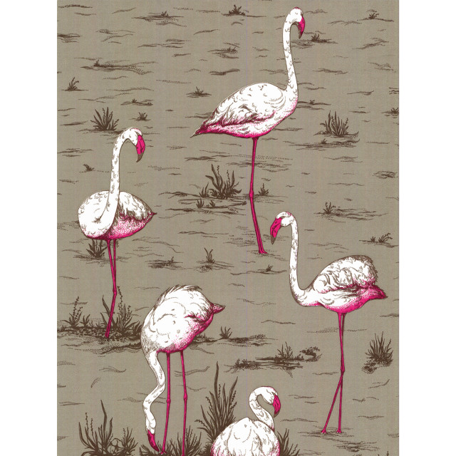 Flamingos grass field water plants free wallpaper - medium preview image