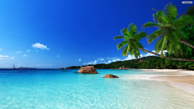 Beach rock palm trees sunny #3 free wallpaper - medium preview image