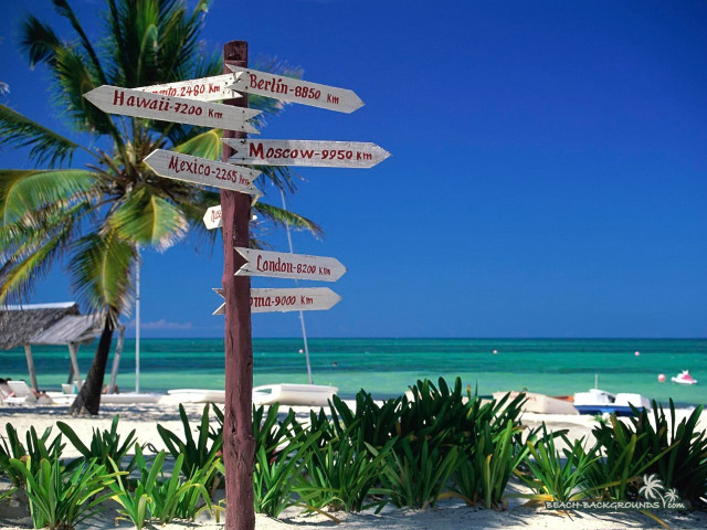 Beach sign post palm tree free wallpaper - medium preview image