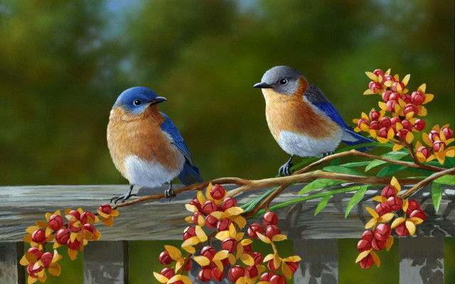 Two birds branch berries green free wallpaper - medium preview image