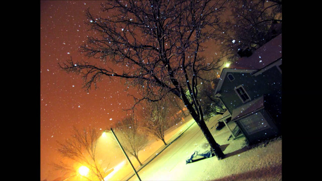 Tree snow night streetlight house free wallpaper - medium preview image
