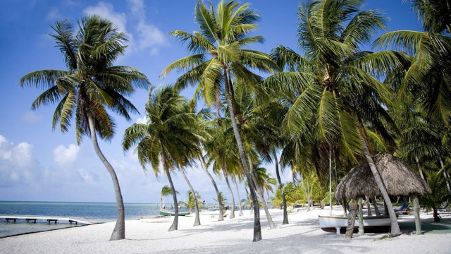Beach palm trees hut ocean #7 free wallpaper - medium preview image
