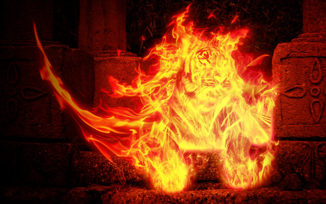 Fire lion stone wall dark free wallpaper - medium preview image