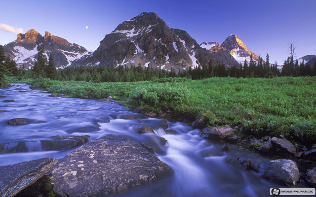 Mountain stream green field forest free wallpaper - medium preview image