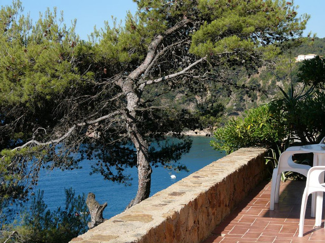 Patio table chairs water trees free wallpaper - medium preview image