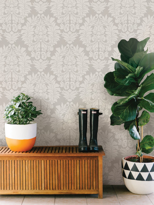 Plant boots table wallpaper wooden free wallpaper - medium preview image