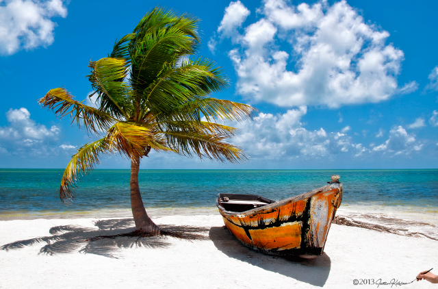 Boat beach palm tree blue free wallpaper - medium preview image