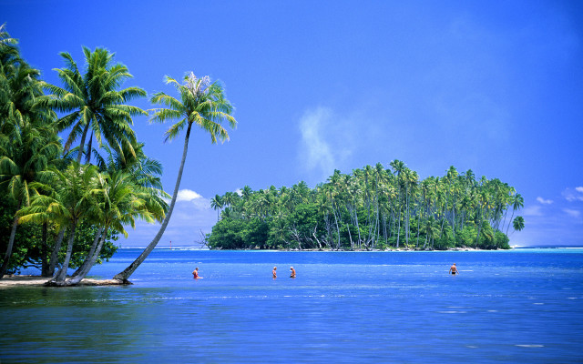 Group people water island palm free wallpaper - medium preview image