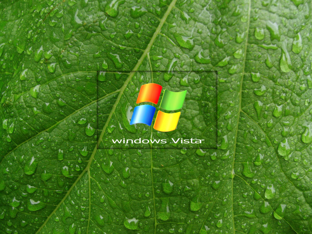 Green leaf water drops windows free wallpaper - medium preview image