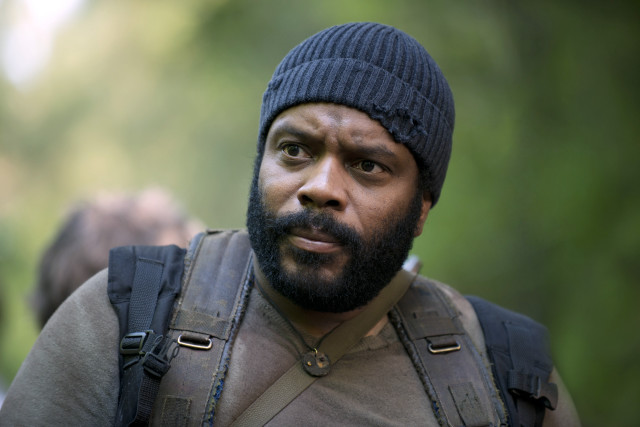 Bearded man beanie serious portrait free wallpaper - medium preview image