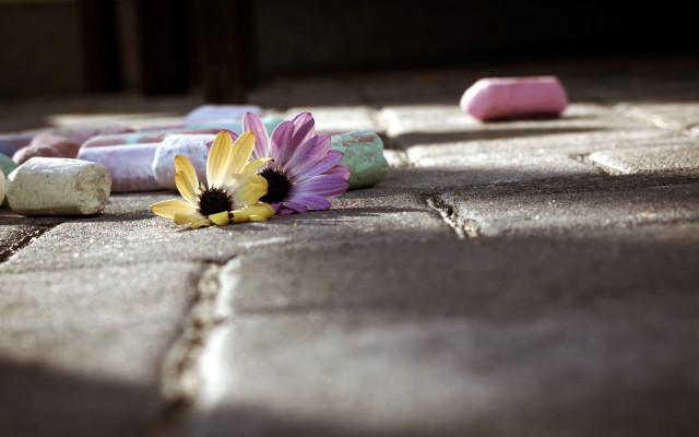 Flower sidewalk marshmallows pink yellow free wallpaper - medium preview image