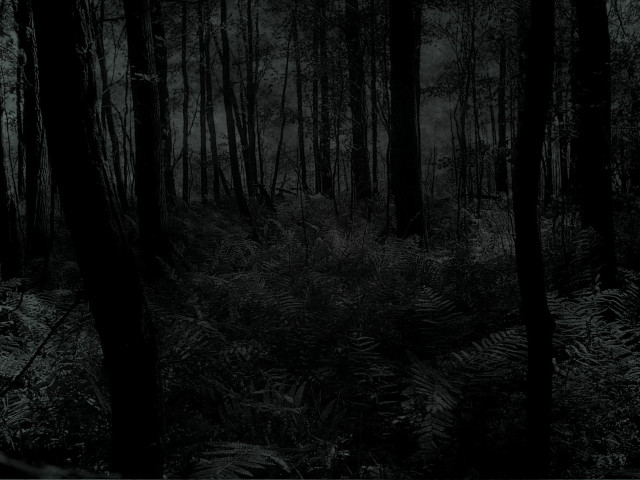 Dark forest full moon tonalism free wallpaper - medium preview image