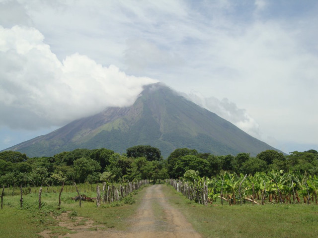 Dirt road mountain trees field free wallpaper - medium preview image