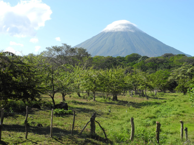 Mountain trees fence grassy field free wallpaper - medium preview image