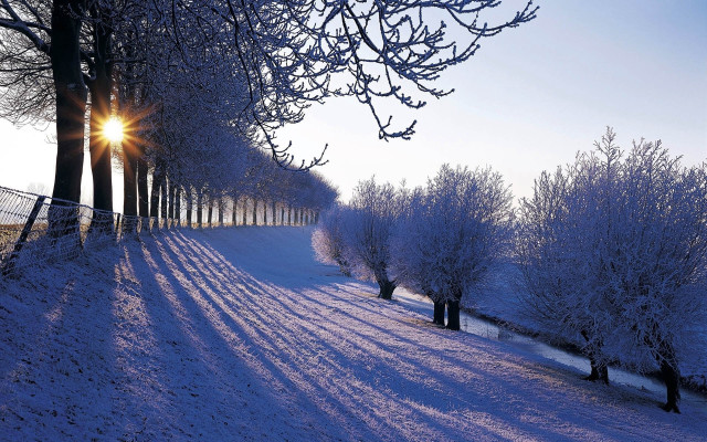 Snowy path trees fence sunset #3 free wallpaper - medium preview image
