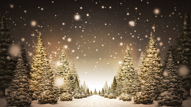 Snowy trees road sky snowflakes free wallpaper - medium preview image