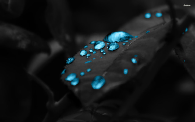 Leaf blue lights background water free wallpaper - medium preview image