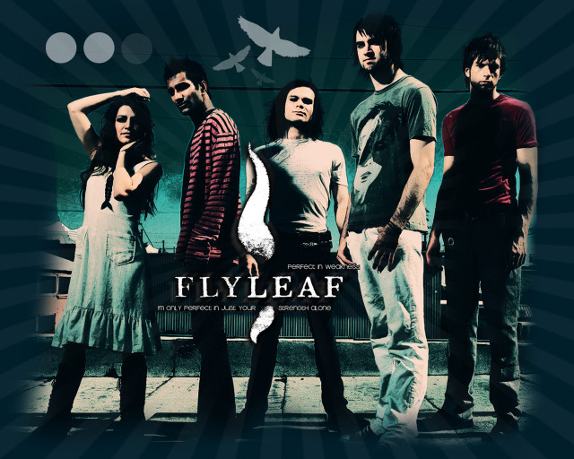 Group people street corner bird free wallpaper - medium preview image