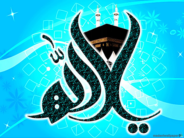 Blue mosque fish background image free wallpaper - medium preview image