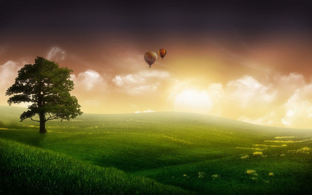 Tree hot air balloon sunset #3 free wallpaper - medium preview image