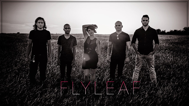 Group people field fly leaf free wallpaper - medium preview image