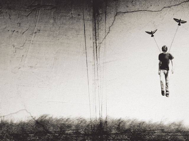 Man suspended wire birds air free wallpaper - medium preview image