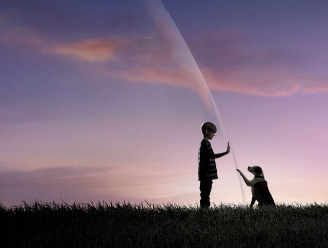 Woman child kite field sunset free wallpaper - medium preview image