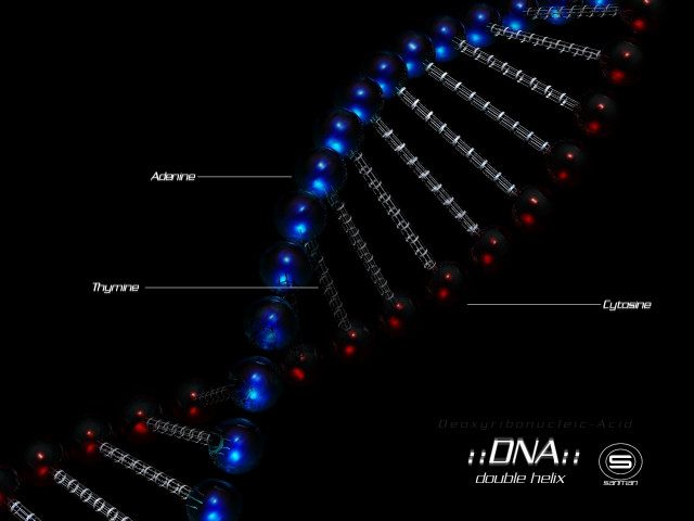 Human cell structure labeled blue free wallpaper for desktop - medium preview image