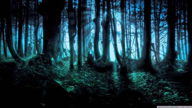 Forest trees grass night bright #2 free wallpaper - medium preview image