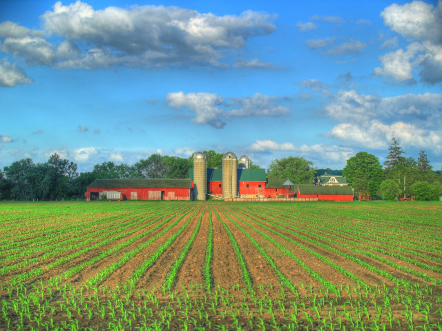 Farm barn field crops blue free wallpaper - medium preview image