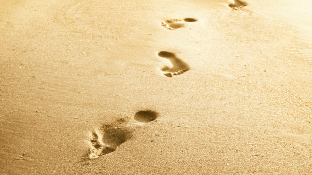 Beach footprints surfboard person walking free wallpaper - medium preview image