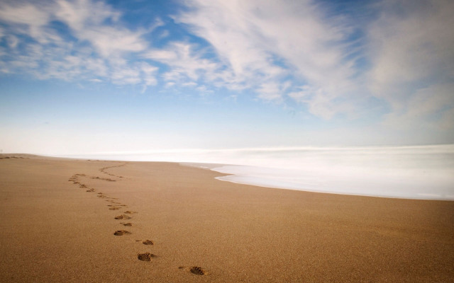 Beach footprints blue sky ocean free wallpaper - medium preview image