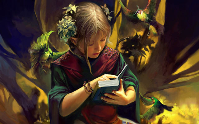 Girl reading book birds flying free wallpaper - medium preview image